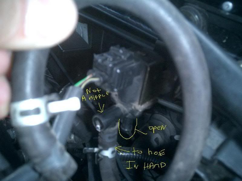 IPB Image