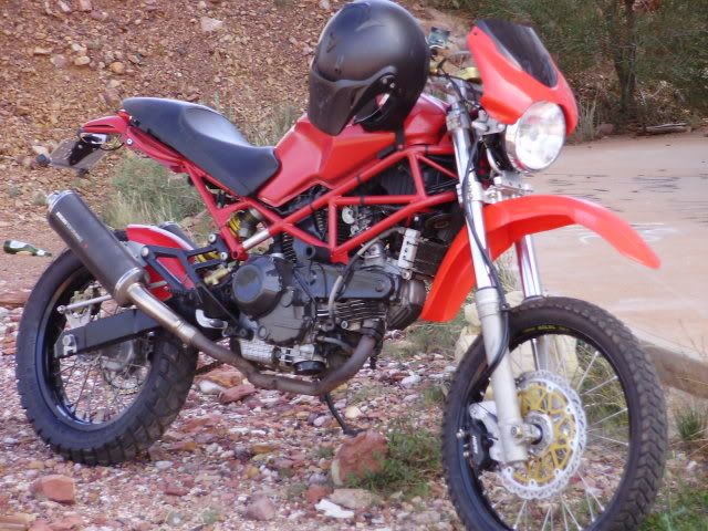 ducati monster off road