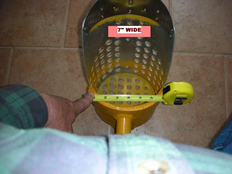 YELLOW3.jpg