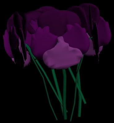 Violas2.jpg