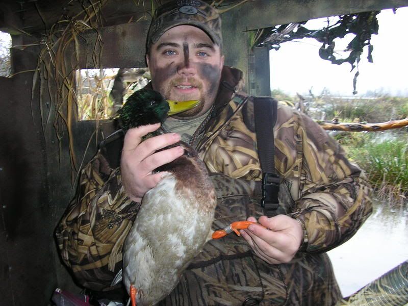 Bands and limits!! Washington Duck Hunting