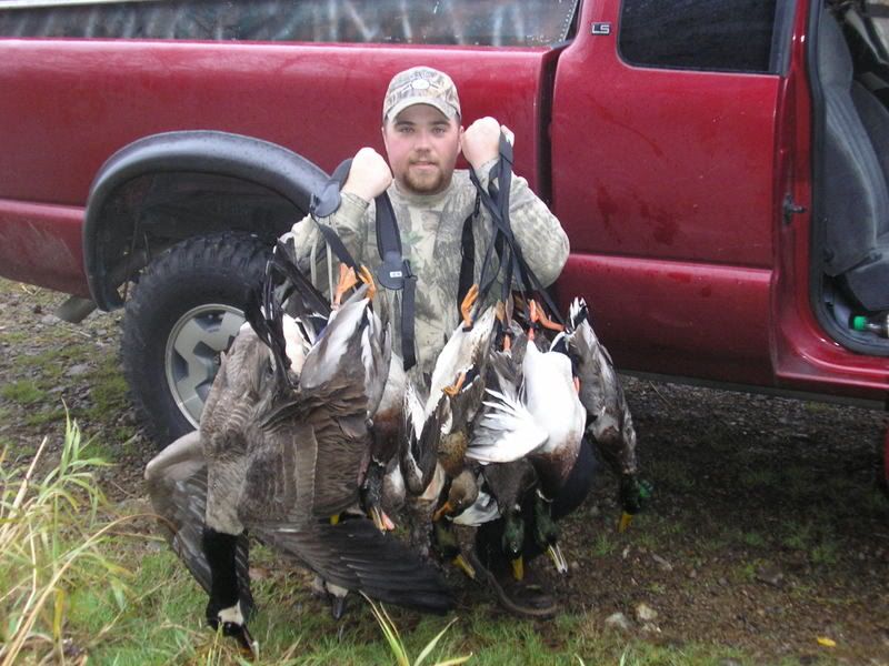Bands and limits!! Washington Duck Hunting