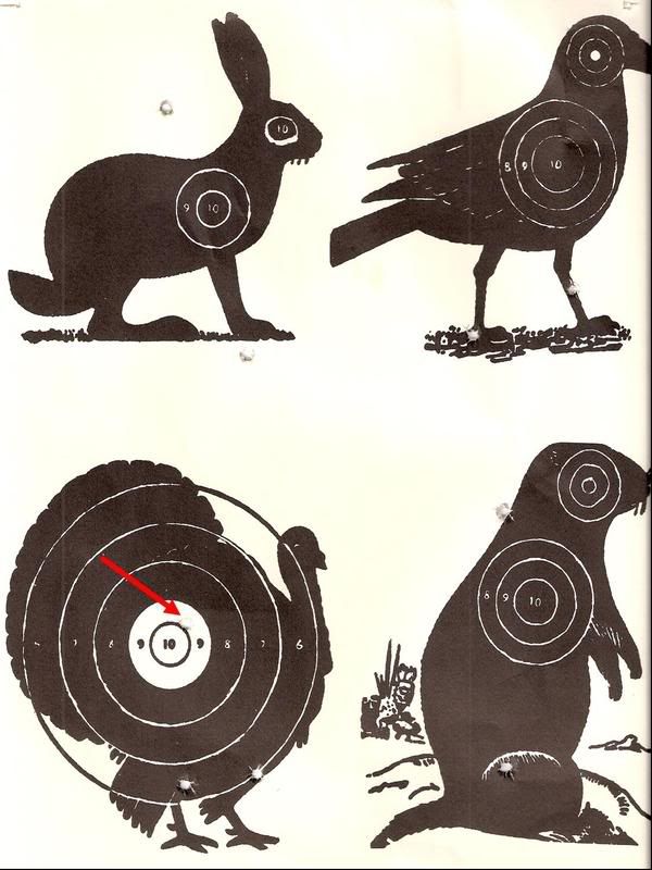 target practice pics. target practice targets.