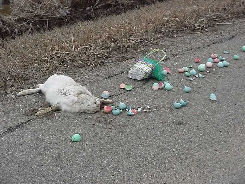 dead easter bunny