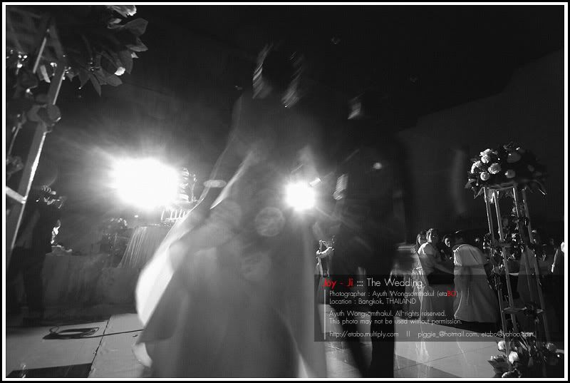 294 My Friend s Wedding