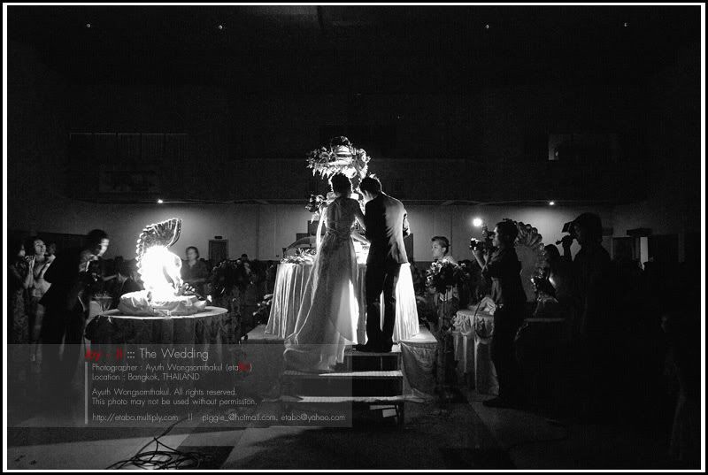 294 My Friend s Wedding