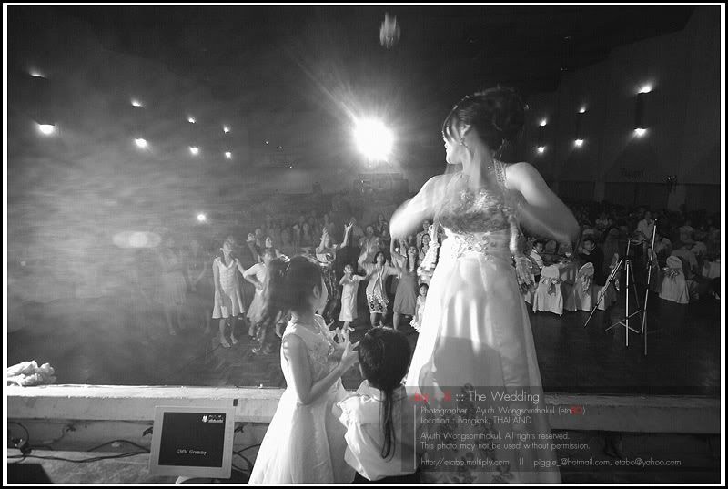 294 My Friend s Wedding