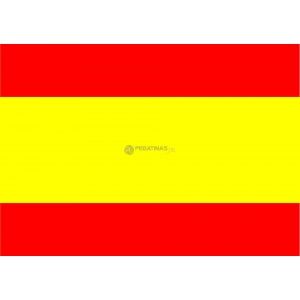  photo bandera-espania-resina-45x3.jpg