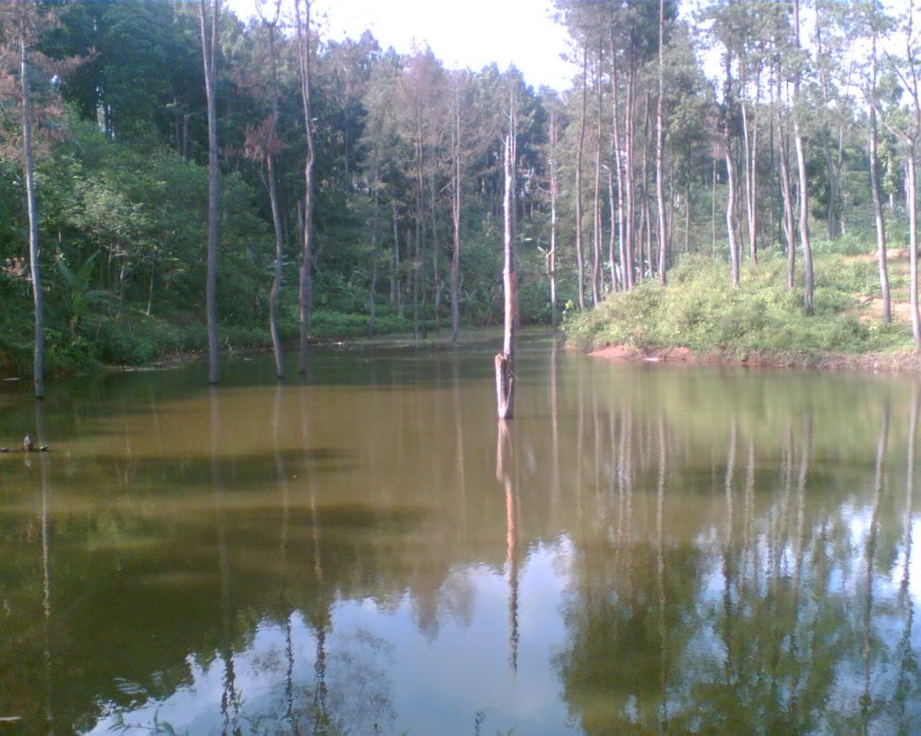 http://i41.photobucket.com/albums/e294/realindonesia/lake.jpg