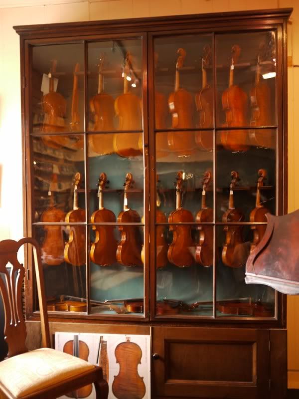 violins.jpg