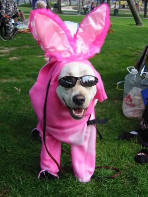 EnergizerBunnyCostumefromfront1.jpg