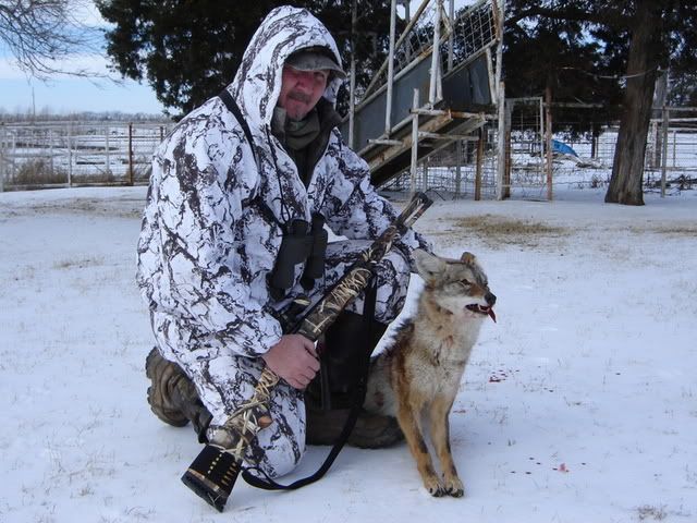 jan17coyote.jpg