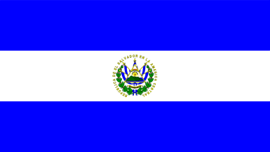 salvi flag