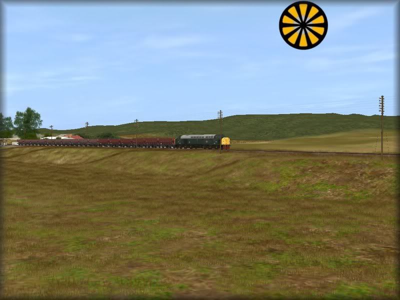403.jpg