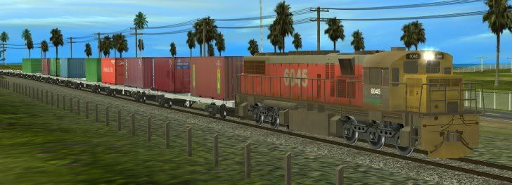 NZ07.jpg