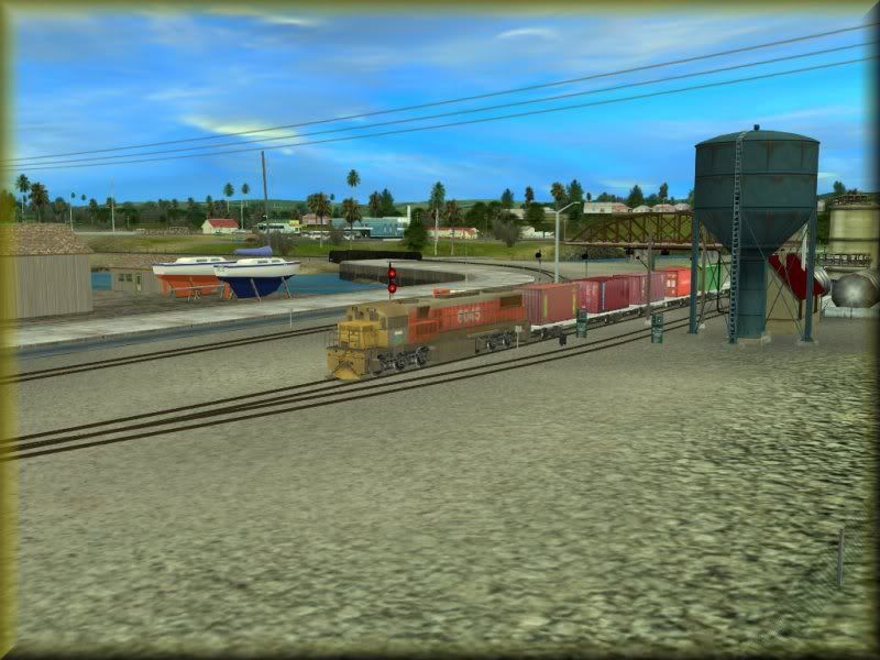 NZ01.jpg