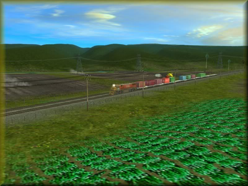 NZ04.jpg