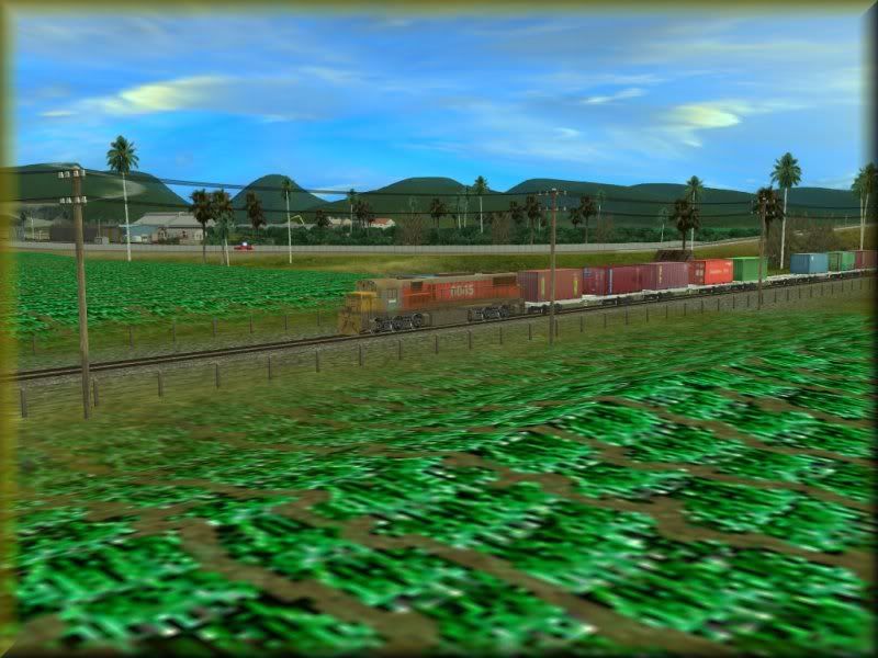 NZ05.jpg