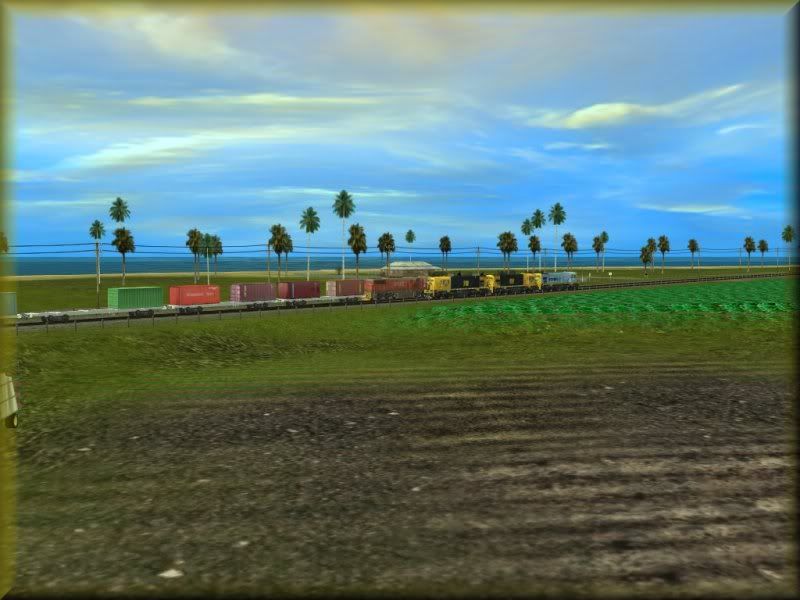 NZ06.jpg
