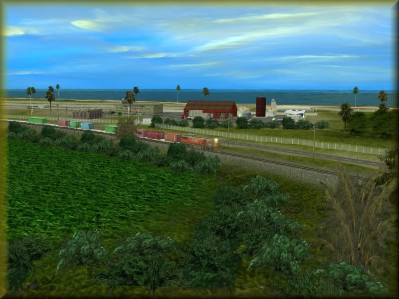 NZ08.jpg