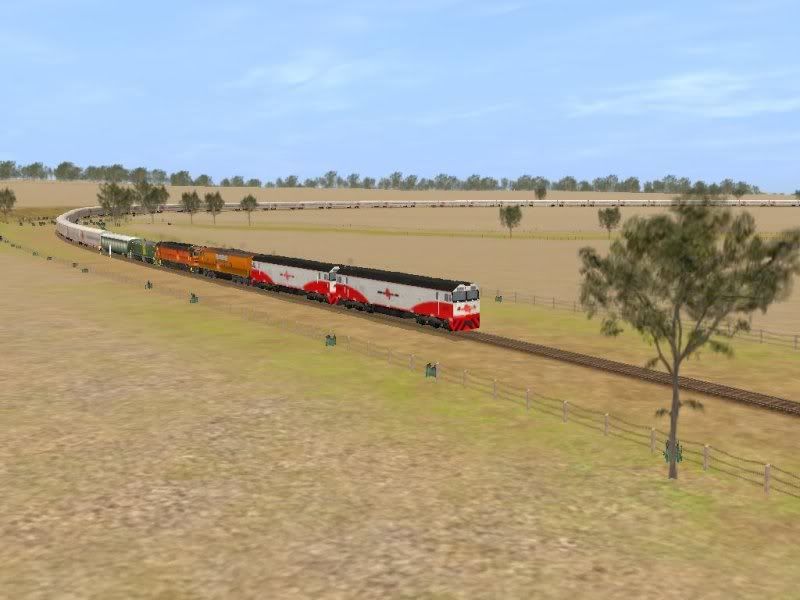 SCT01.jpg