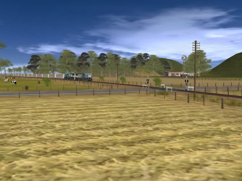 Screen_137.jpg