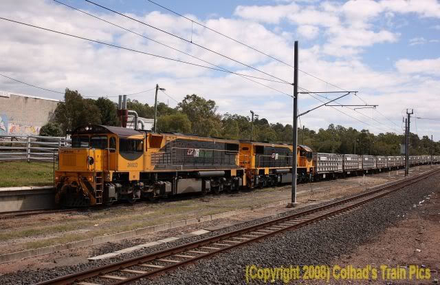 2482D-2494HCattleA.jpg