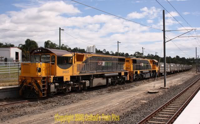 2482D-2494HCattleB.jpg