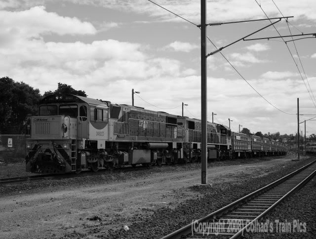 2482D-2494HCattleC.jpg