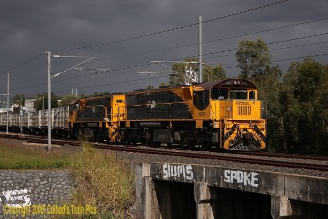 2482D-2494HCattleE.jpg