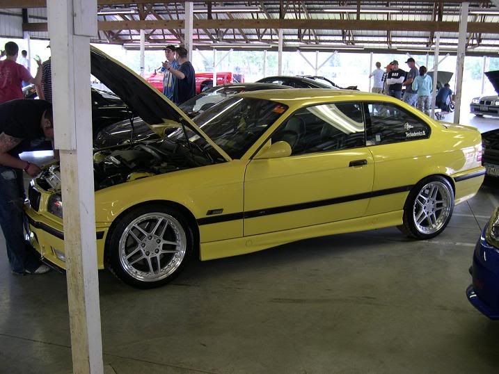 http://i41.photobucket.com/albums/e300/Onefastmonkey/Carlisle/skunk.jpg