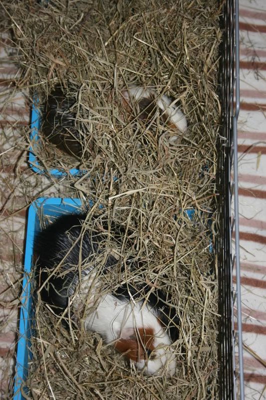 Picture001.jpg