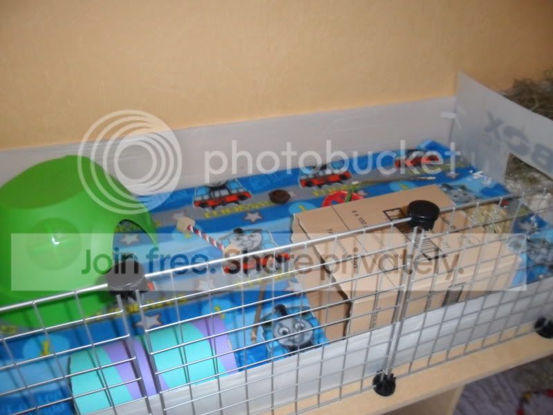 011-1.jpg