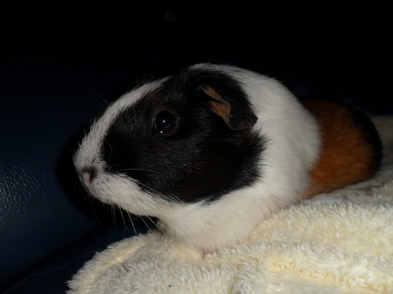 SAM_0682.jpg