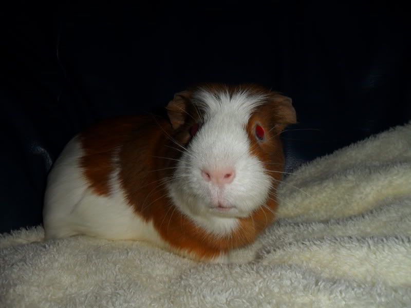 SAM_0685.jpg