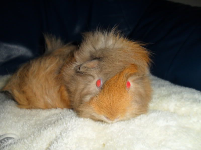 SAM_0715.jpg