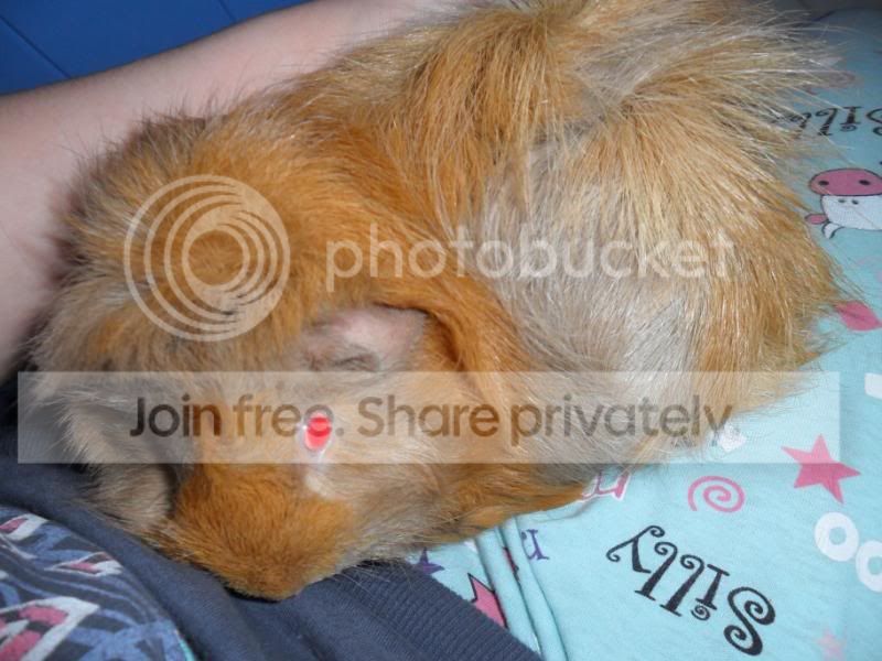 SAM_3330.jpg