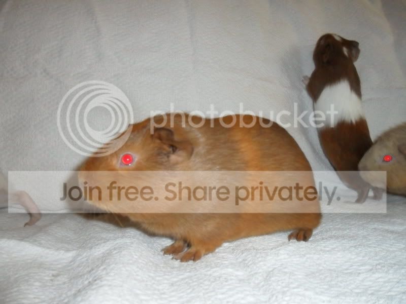 SAM_3634.jpg