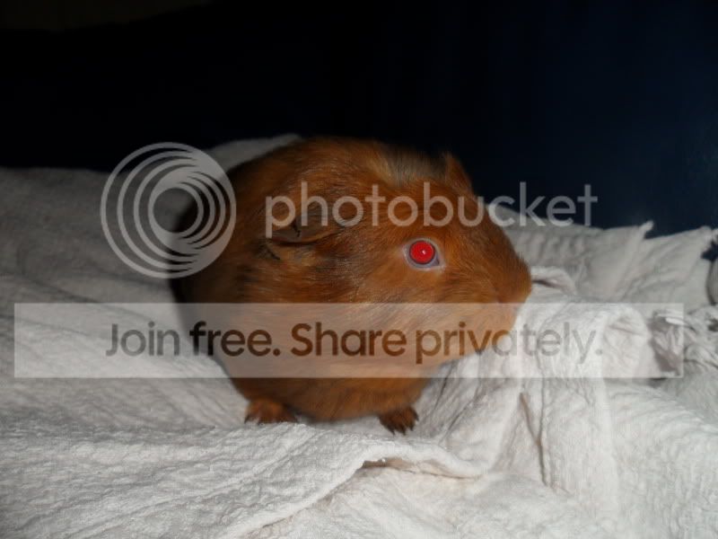 SAM_3844.jpg