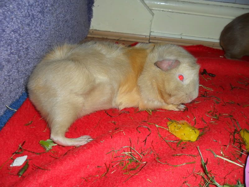 SAM_5049.jpg