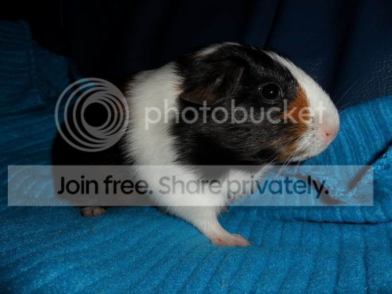 SAM_5337.jpg