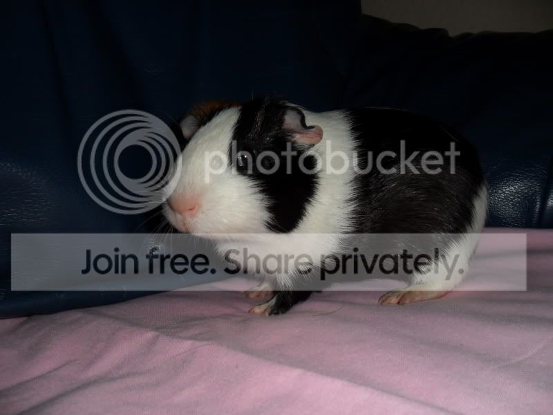 SAM_7228.jpg