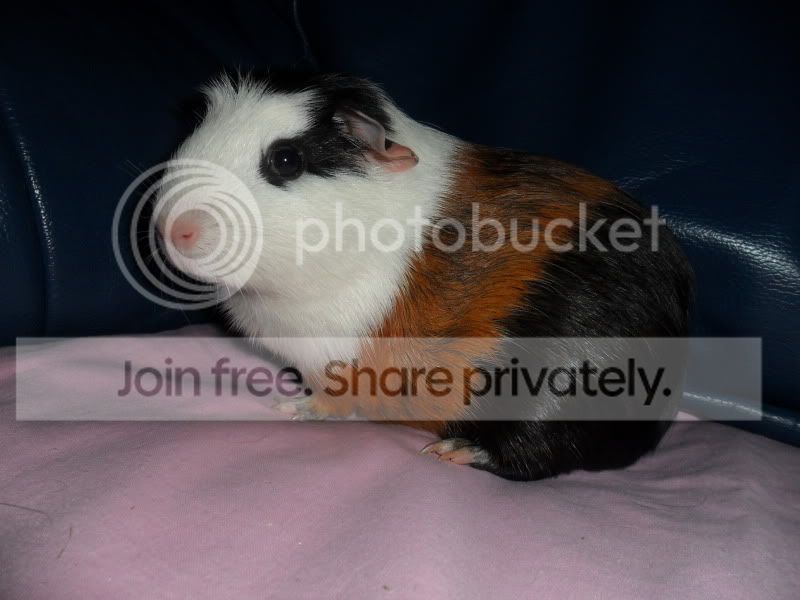 SAM_7245.jpg