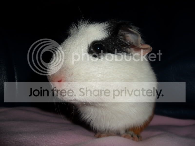 SAM_7250.jpg