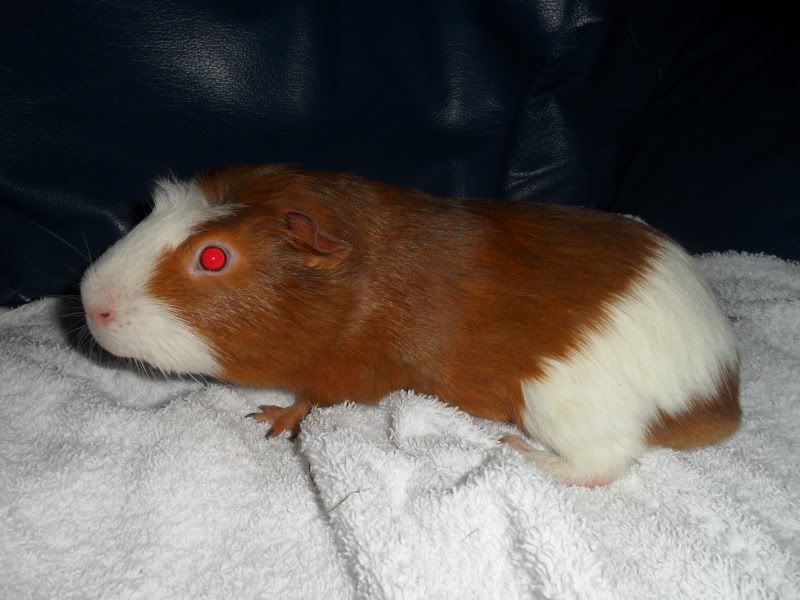 SAM_9924.jpg