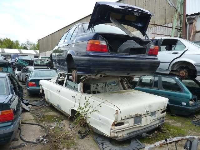 P1040619.jpg