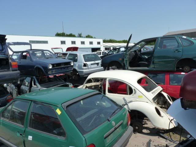P1060178.jpg