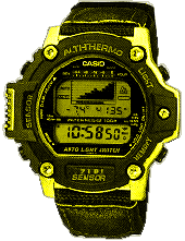 casio.gif