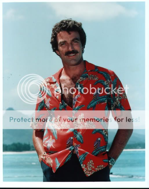 FARK.com: (4535496) Nobody who looks like Tom Selleck could possibly be ...