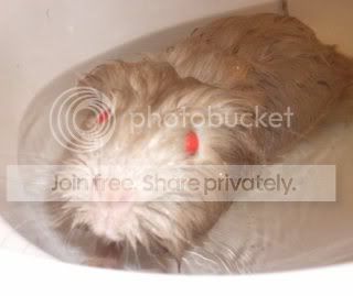 Kawadasbath4.jpg